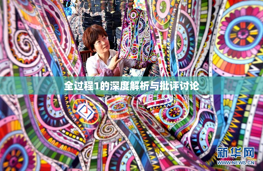 全过程1的深度解析与批评讨论