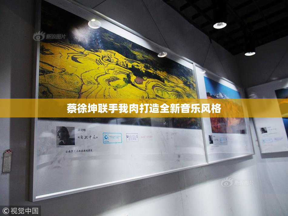 蔡徐坤联手我肉打造全新音乐风格