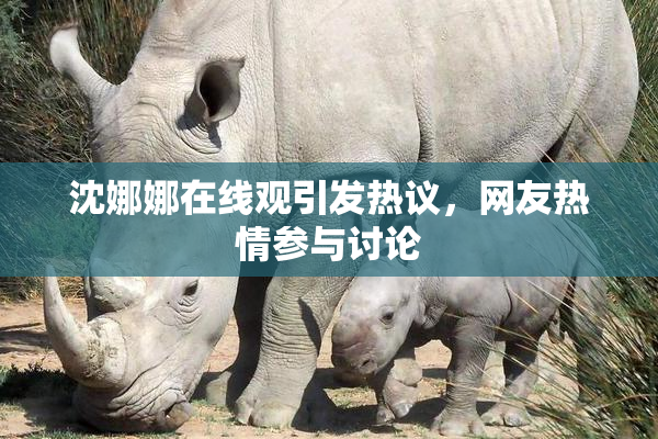 沈娜娜在线观引发热议，网友热情参与讨论