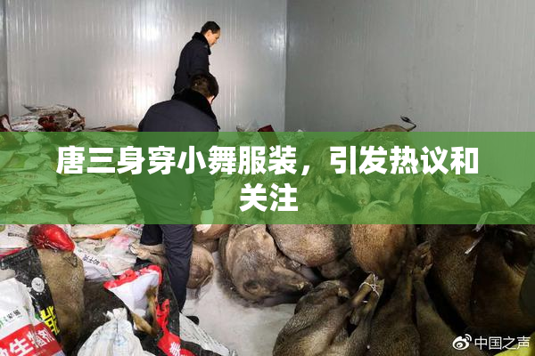 唐三身穿小舞服装，引发热议和关注