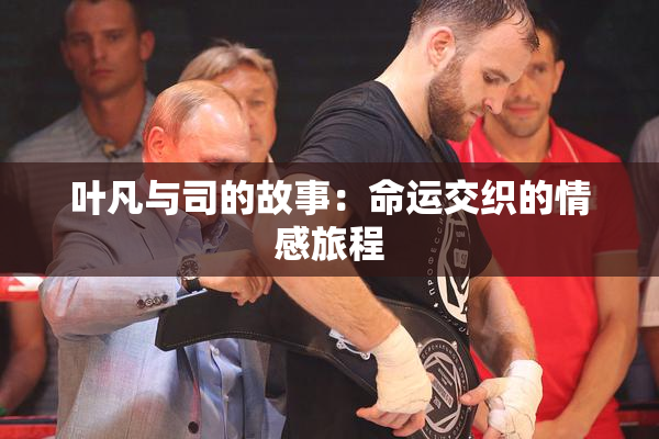 叶凡与司的故事：命运交织的情感旅程