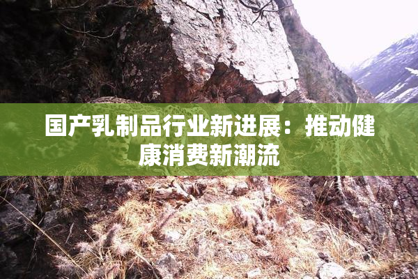国产乳制品行业新进展：推动健康消费新潮流