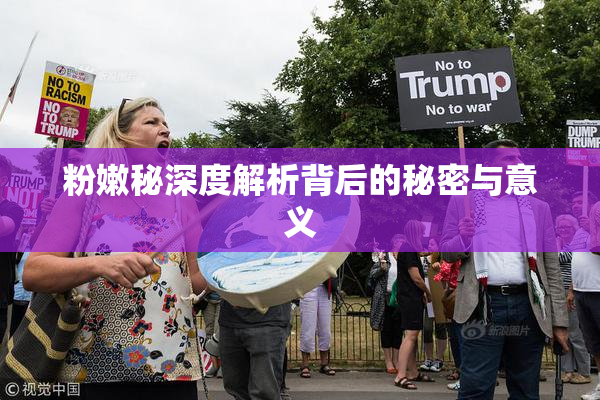 粉嫩秘深度解析背后的秘密与意义