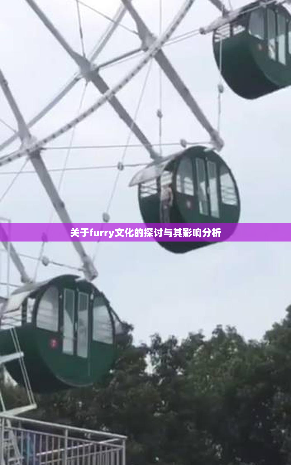 关于furry文化的探讨与其影响分析
