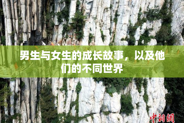 男生与女生的成长故事，以及他们的不同世界