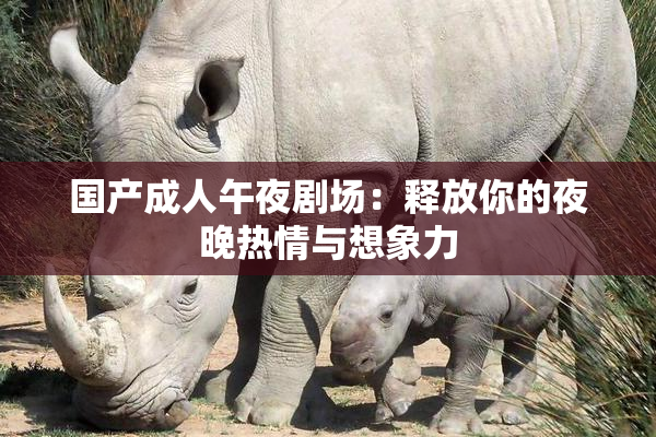 国产成人午夜剧场：释放你的夜晚热情与想象力