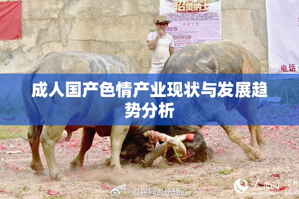成人国产色情产业现状与发展趋势分析