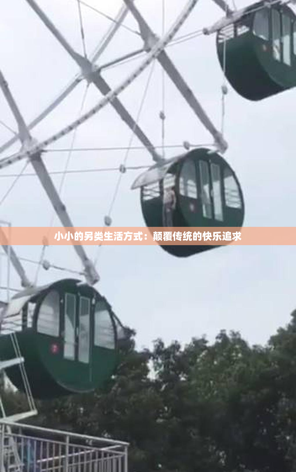 小小的另类生活方式：颠覆传统的快乐追求