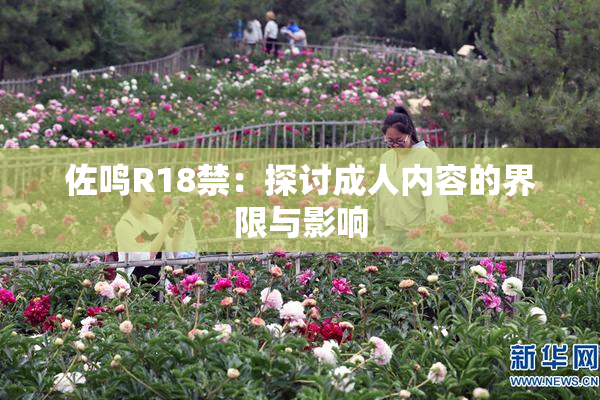 佐鸣R18禁：探讨成人内容的界限与影响