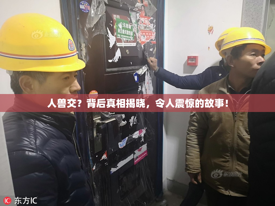 人兽交？背后真相揭晓，令人震惊的故事！