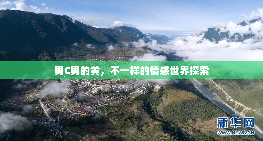 男C男的黄，不一样的情感世界探索
