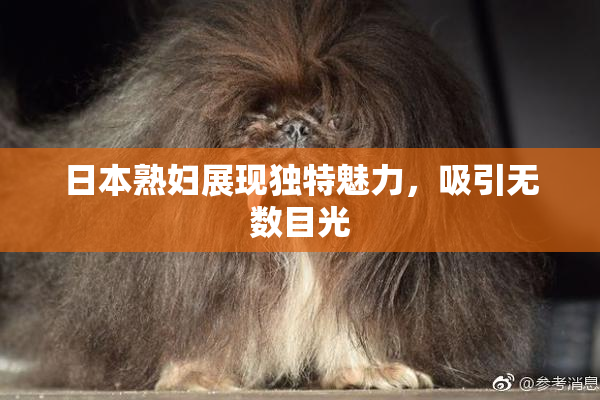 日本熟妇展现独特魅力，吸引无数目光