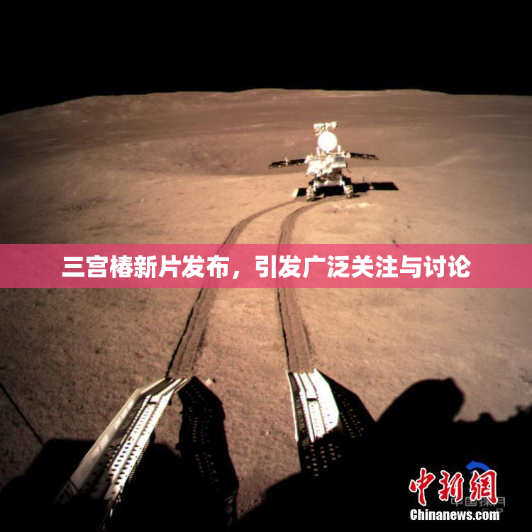三宫椿新片发布，引发广泛关注与讨论