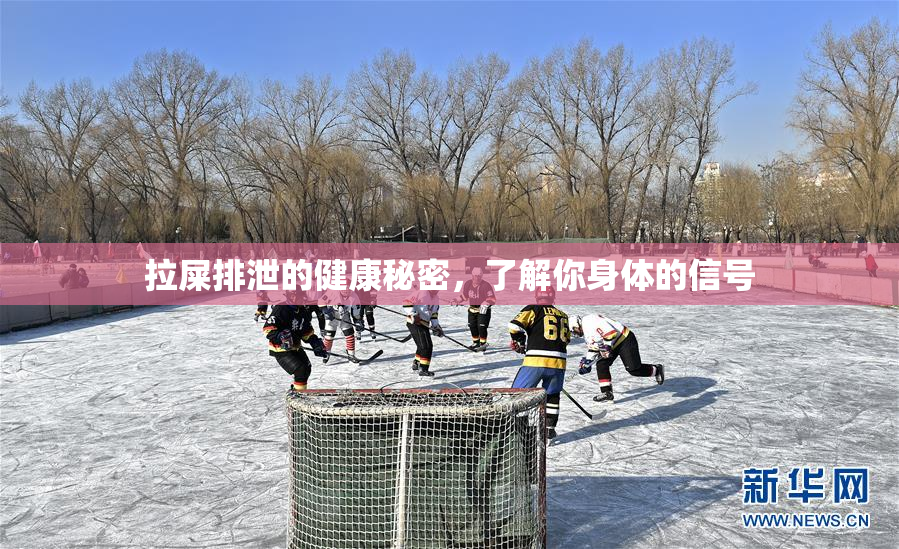 拉屎排泄的健康秘密，了解你身体的信号
