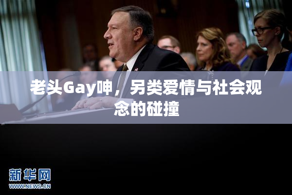 老头Gay呻，另类爱情与社会观念的碰撞