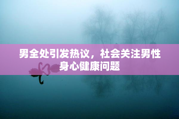 男全处引发热议，社会关注男性身心健康问题