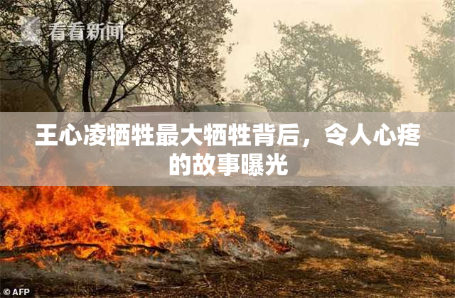 王心凌牺牲最大牺牲背后，令人心疼的故事曝光