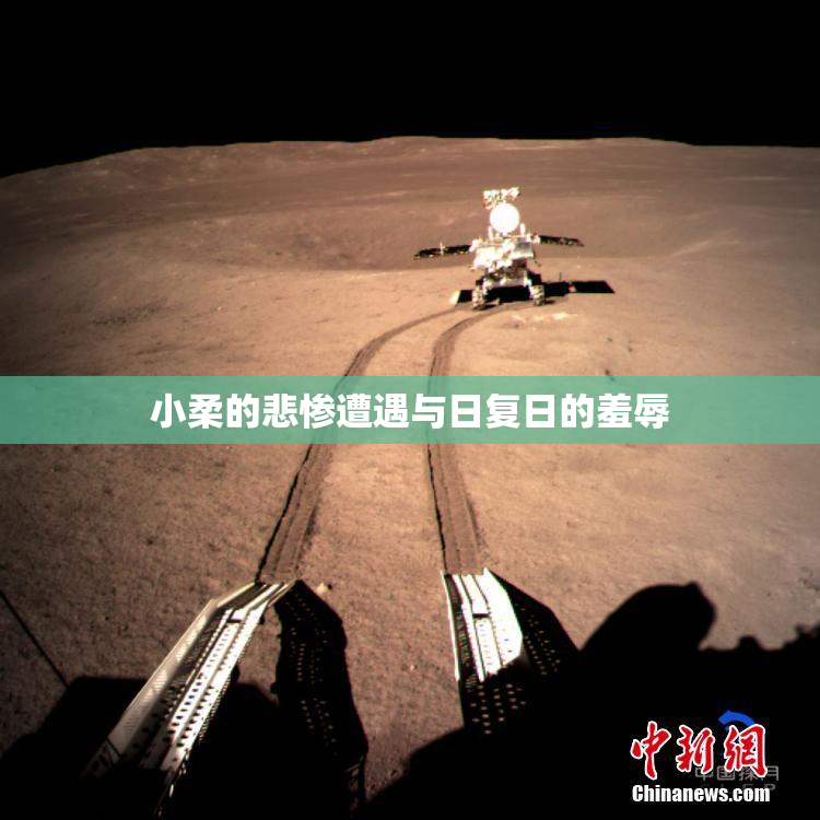 小柔的悲惨遭遇与日复日的羞辱