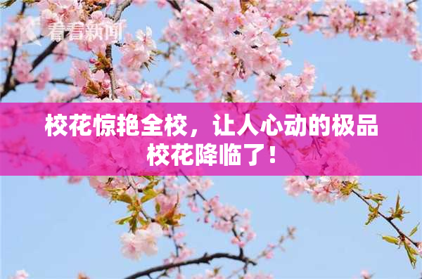 校花惊艳全校，让人心动的极品校花降临了！
