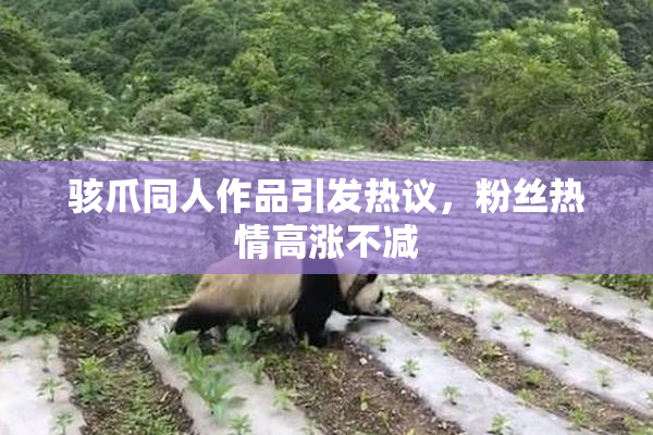 骇爪同人作品引发热议，粉丝热情高涨不减