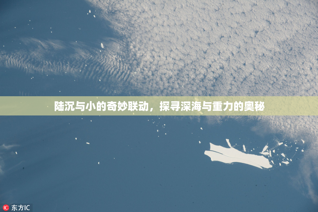 陆沉与小的奇妙联动，探寻深海与重力的奥秘