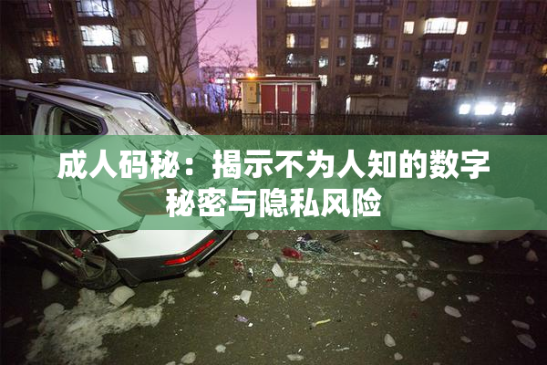 成人码秘：揭示不为人知的数字秘密与隐私风险