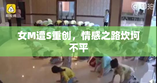 女M遭S重创，情感之路坎坷不平