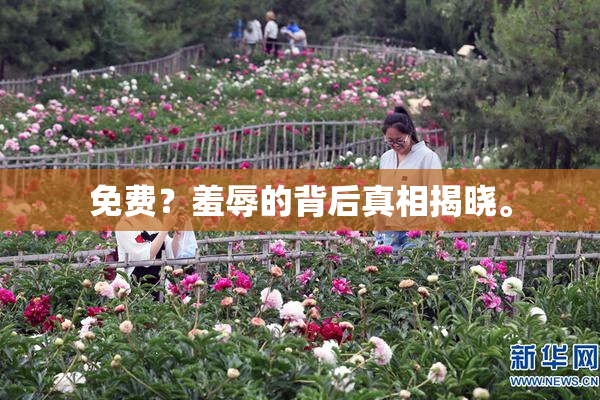 免费？羞辱的背后真相揭晓。