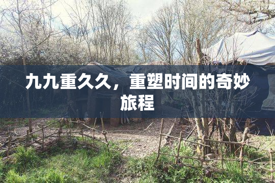 九九重久久，重塑时间的奇妙旅程