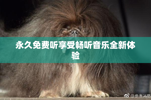 永久免费听享受畅听音乐全新体验