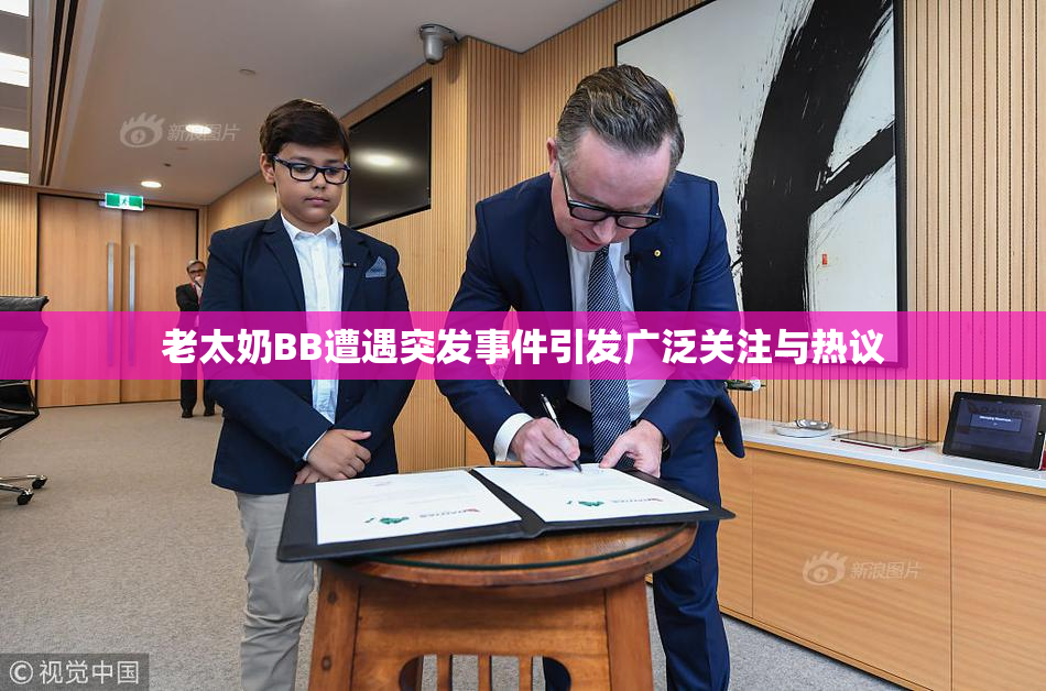老太奶BB遭遇突发事件引发广泛关注与热议