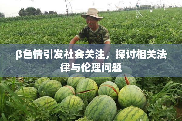 β色情引发社会关注，探讨相关法律与伦理问题