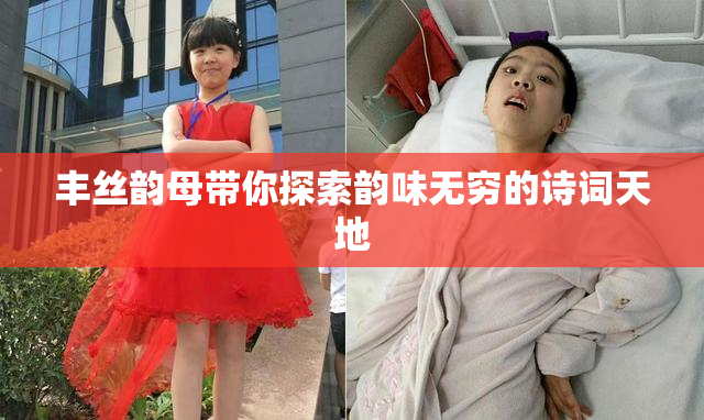 丰丝韵母带你探索韵味无穷的诗词天地