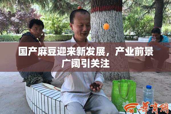 国产麻豆迎来新发展，产业前景广阔引关注