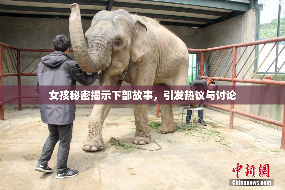 女孩秘密揭示下部故事，引发热议与讨论