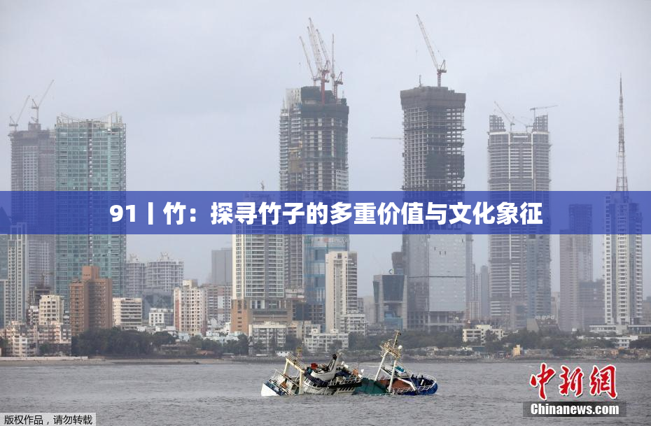 91丨竹：探寻竹子的多重价值与文化象征