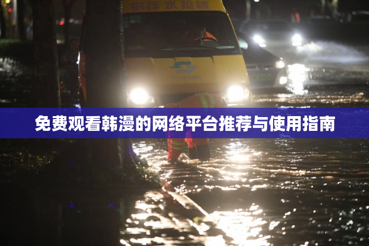 免费观看韩漫的网络平台推荐与使用指南