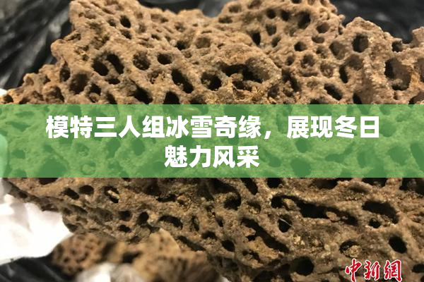 模特三人组冰雪奇缘，展现冬日魅力风采