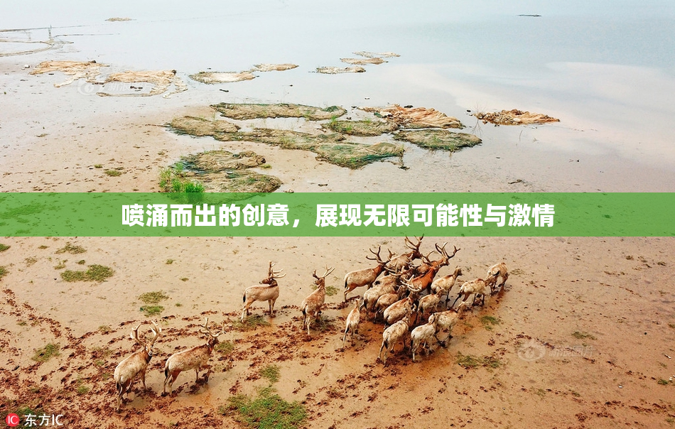 喷涌而出的创意，展现无限可能性与激情