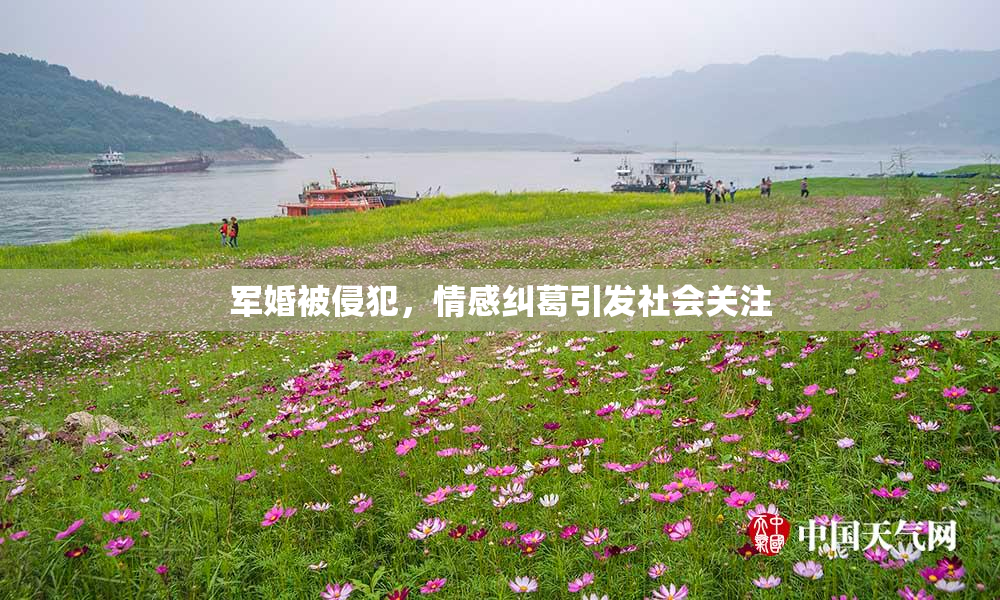 军婚被侵犯，情感纠葛引发社会关注