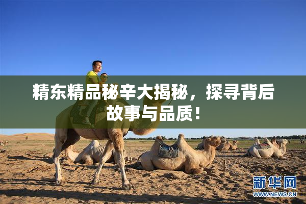 精东精品秘辛大揭秘，探寻背后故事与品质！