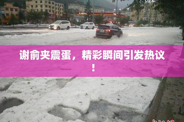 谢俞夹震蛋，精彩瞬间引发热议！