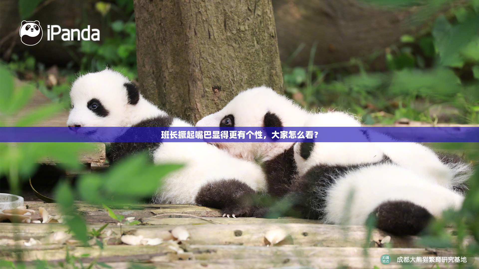 班长撅起嘴巴显得更有个性，大家怎么看？