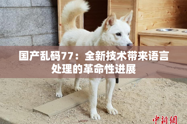 国产乱码77：全新技术带来语言处理的革命性进展