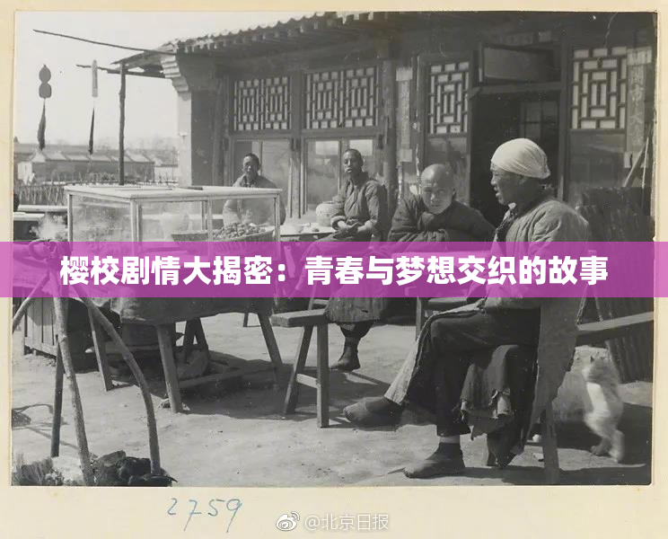 樱校剧情大揭密：青春与梦想交织的故事