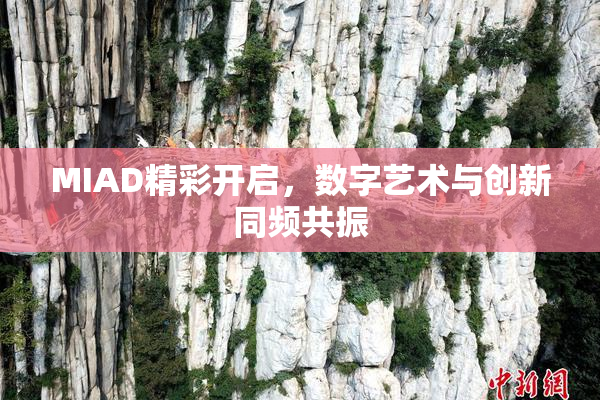MIAD精彩开启，数字艺术与创新同频共振