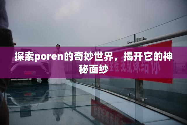 探索poren的奇妙世界，揭开它的神秘面纱