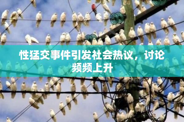 性猛交事件引发社会热议，讨论频频上升