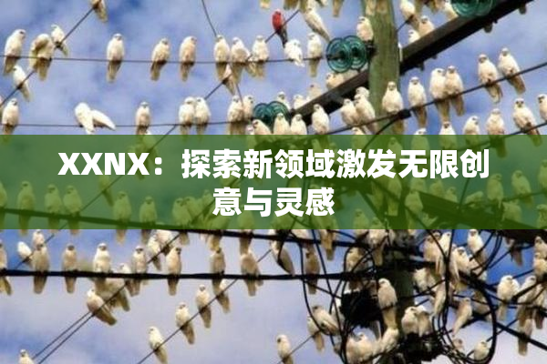 XXNX：探索新领域激发无限创意与灵感