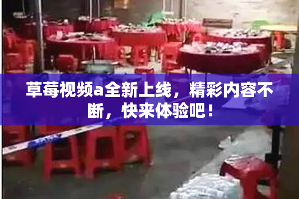 草莓视频a全新上线，精彩内容不断，快来体验吧！